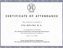 uae ambulance certificate of attendance